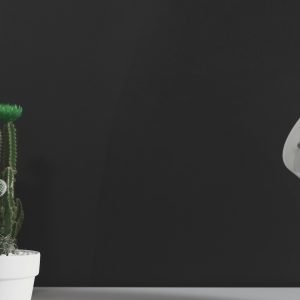 scott-webb-PZPJURByLs4-unsplash